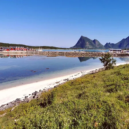 Sjostjerna Steigen